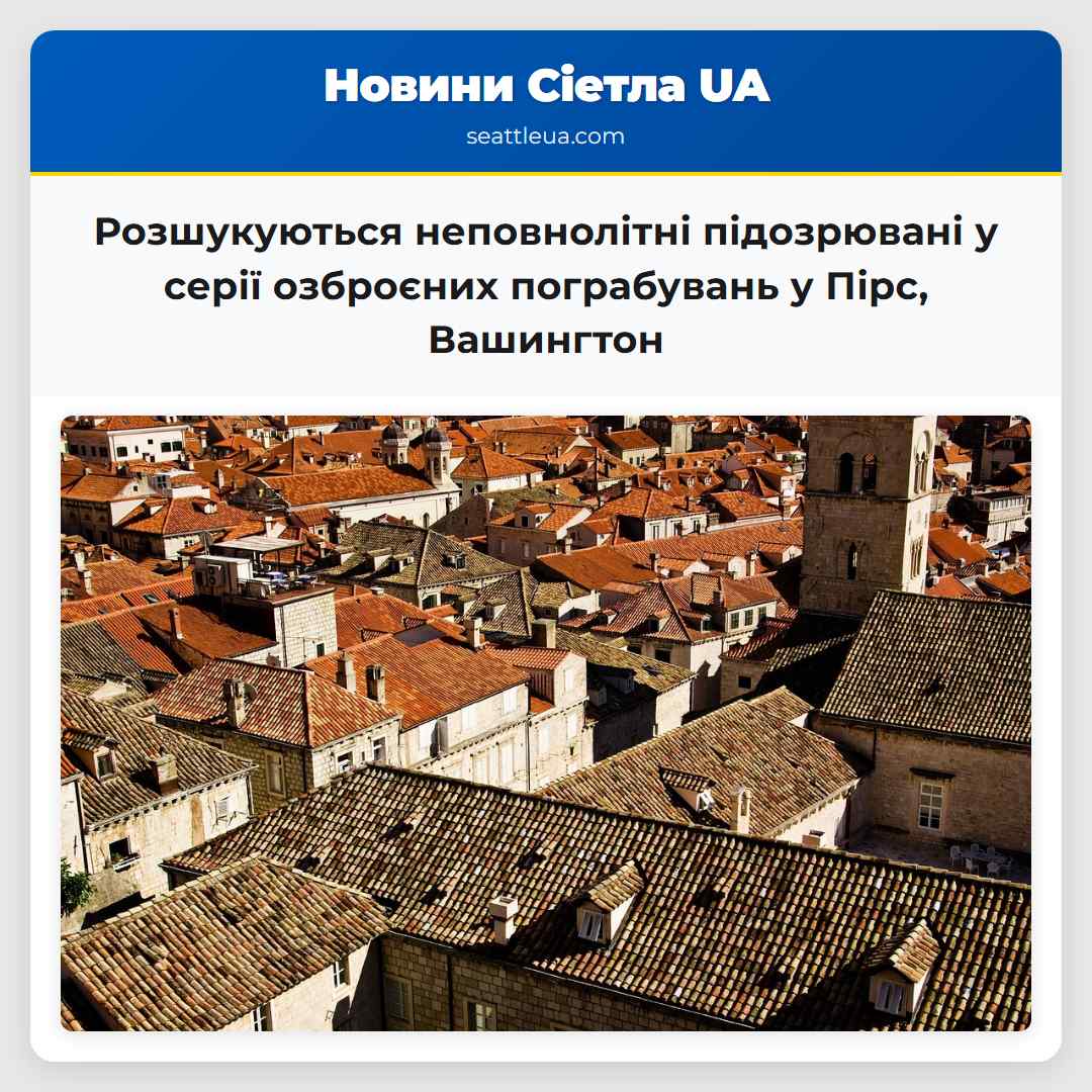 Розшукуються неповнолітні підозрювані у серії