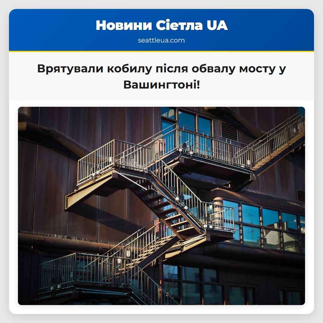 Врятували кобилу після обвалу мосту у Вашингтоні!