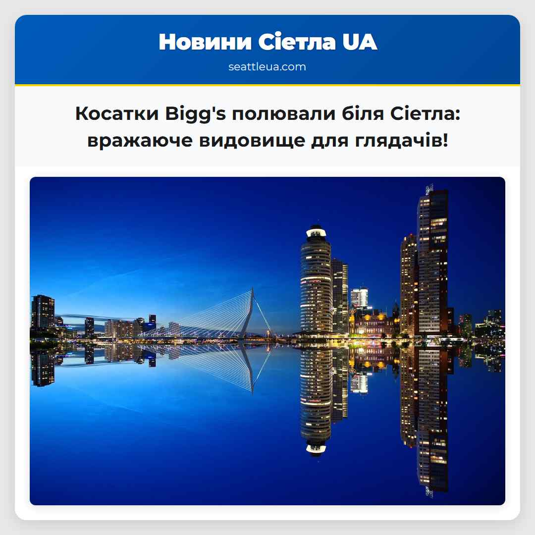 Косатки Bigg's полювали біля Сіетла: вражаюче