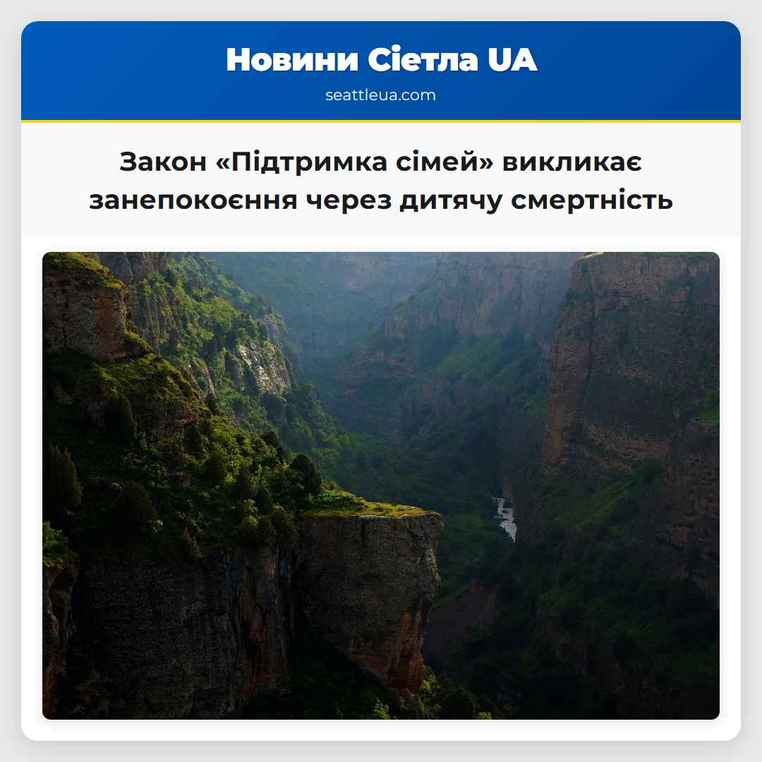Закон «Підтримка сімей» викликає занепокоєння