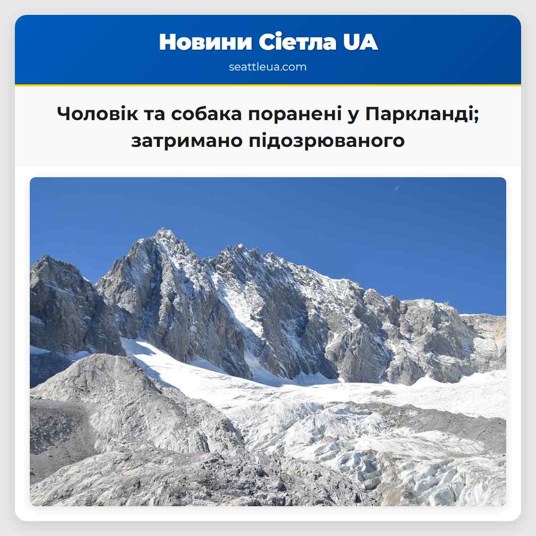 Чоловік та собака поранені у Паркланді; затримано