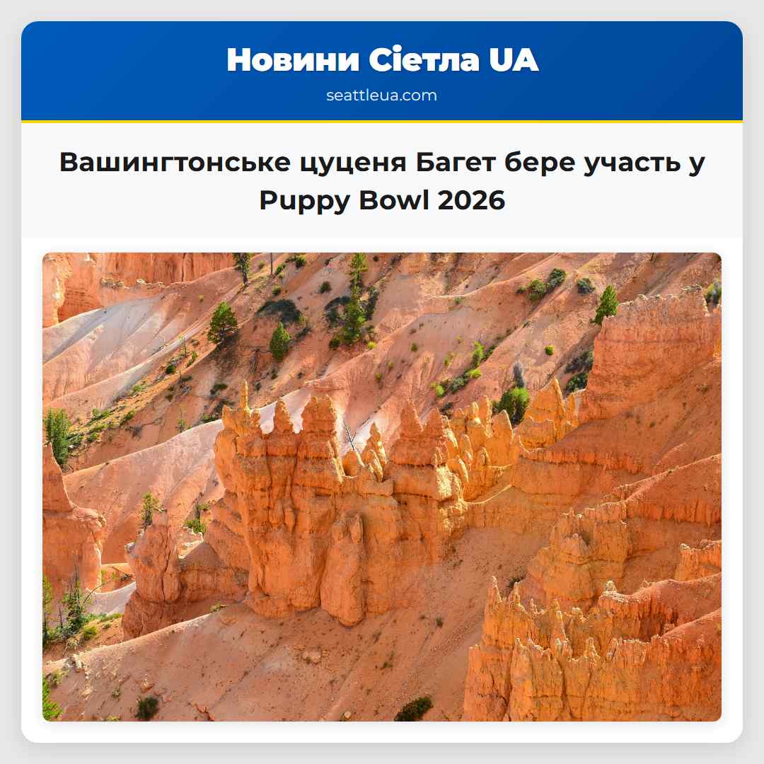 Вашингтонське цуценя Багет бере участь у Puppy