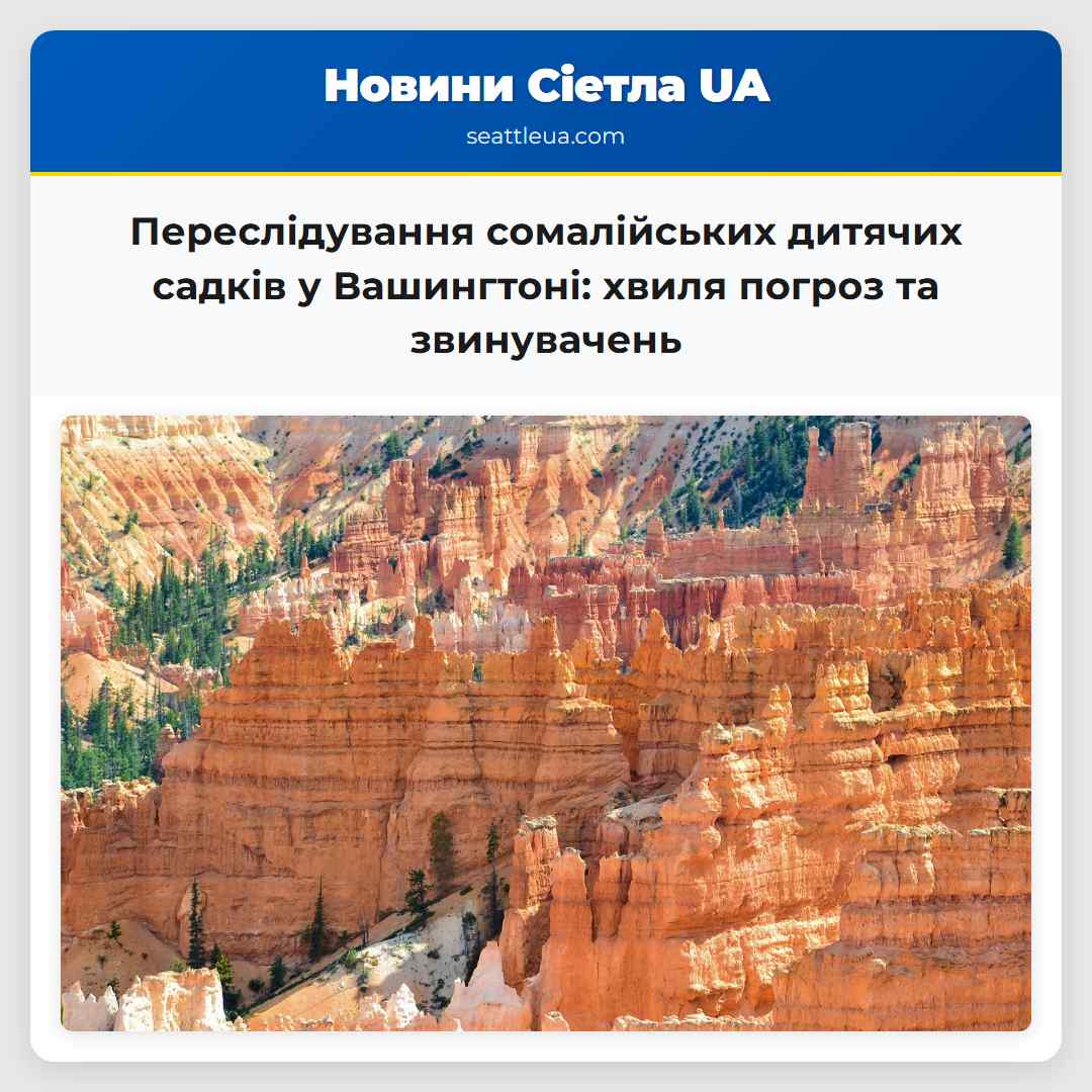 Переслідування сомалійських дитячих садків у