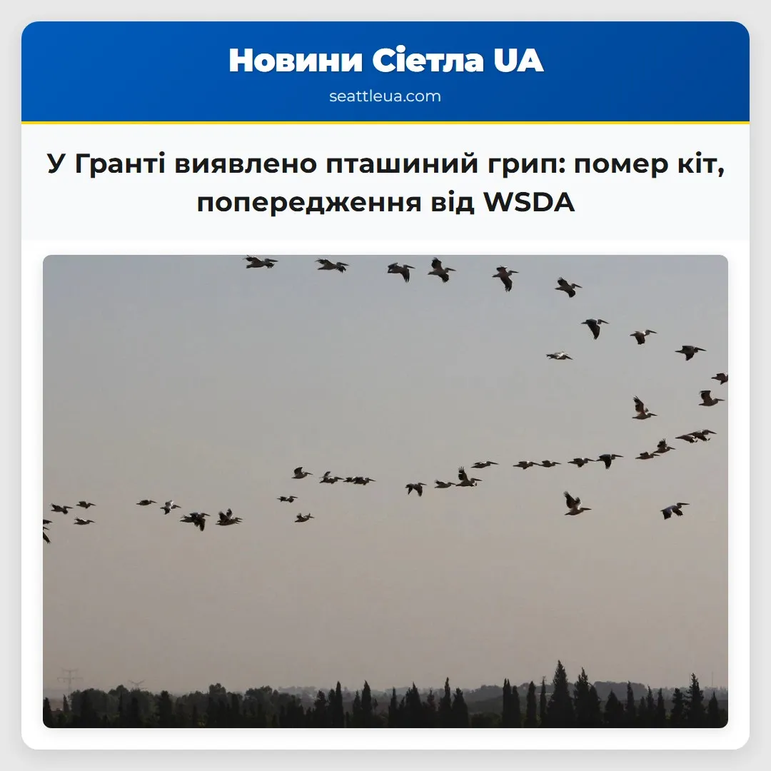 У Гранті виявлено пташиний грип: помер кіт,