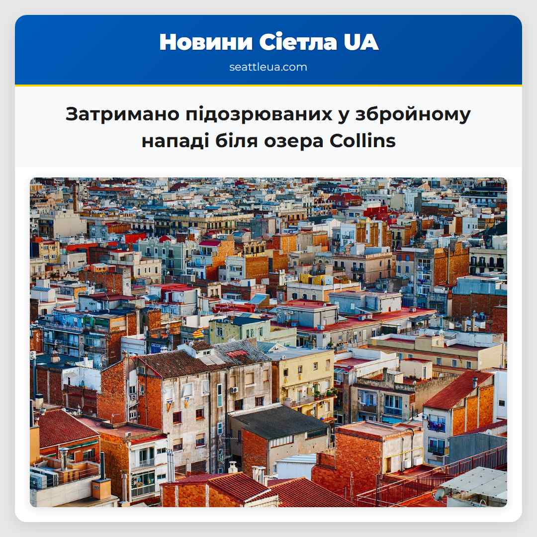 Затримано підозрюваних у збройному нападі біля