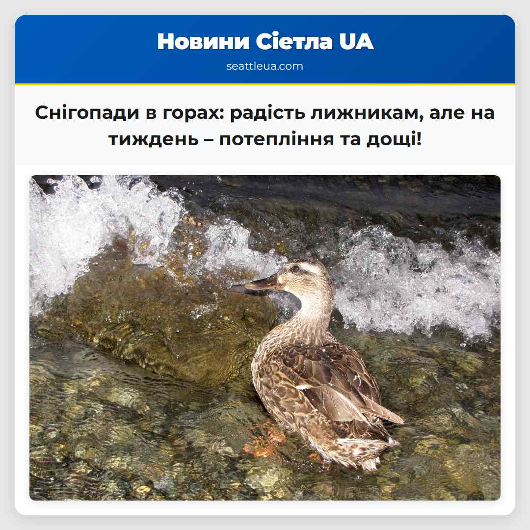 Снігопади в горах: радість лижникам, але на