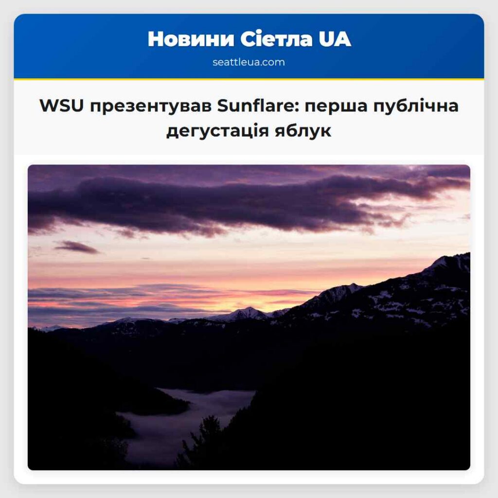 WSU презентував Sunflare: перша публічна