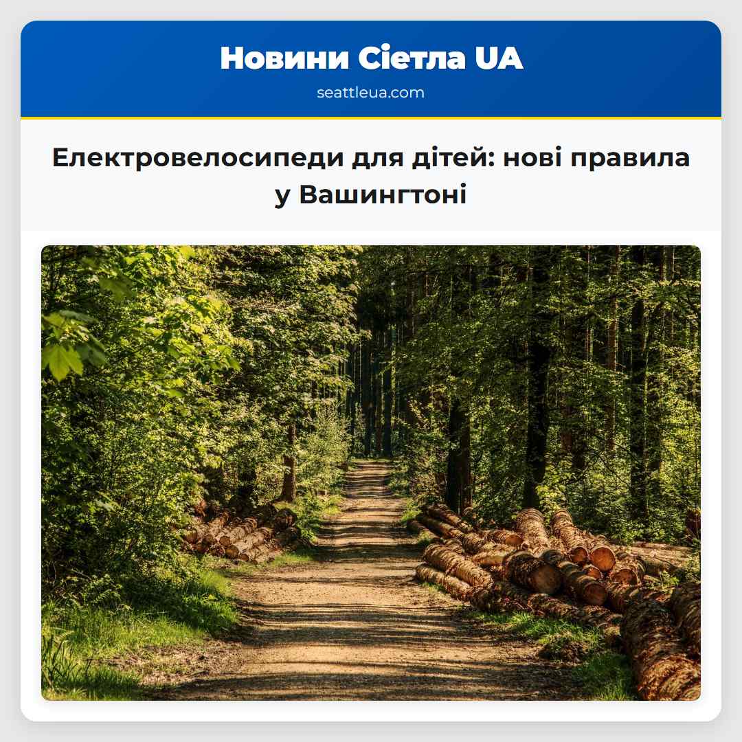 Електровелосипеди для дітей: нові правила у