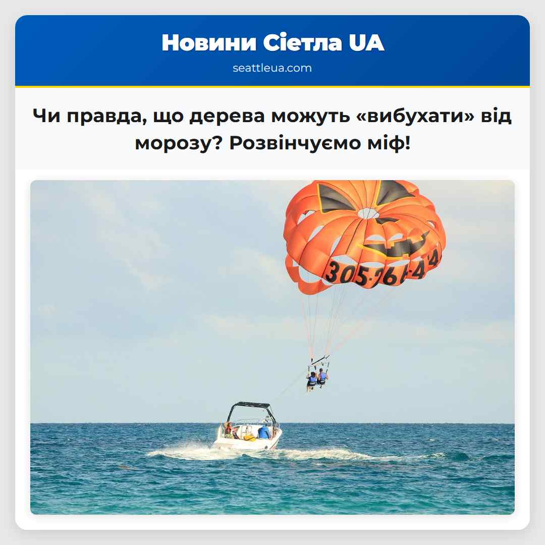 Чи правда, що дерева можуть «вибухати» від