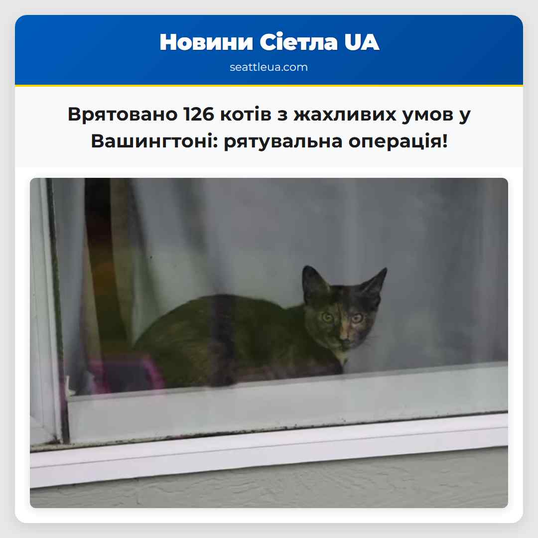 Врятовано 126 котів з жахливих умов у Вашингтоні: