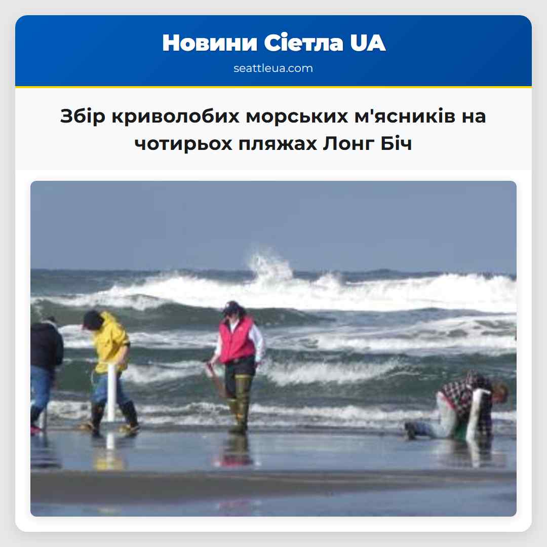 Збір криволобих морських м'ясників на чотирьох