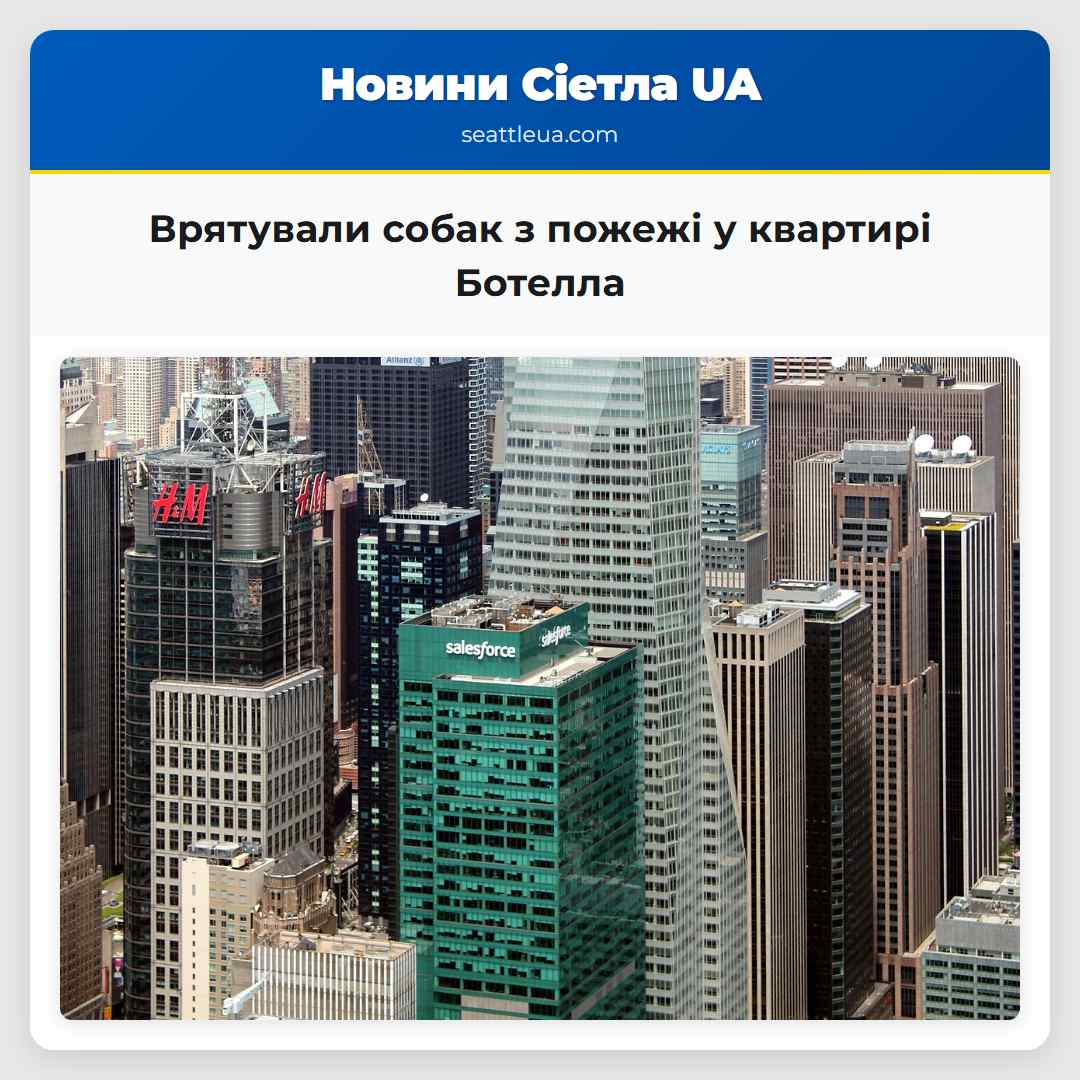 Врятували собак з пожежі у квартирі Ботелла