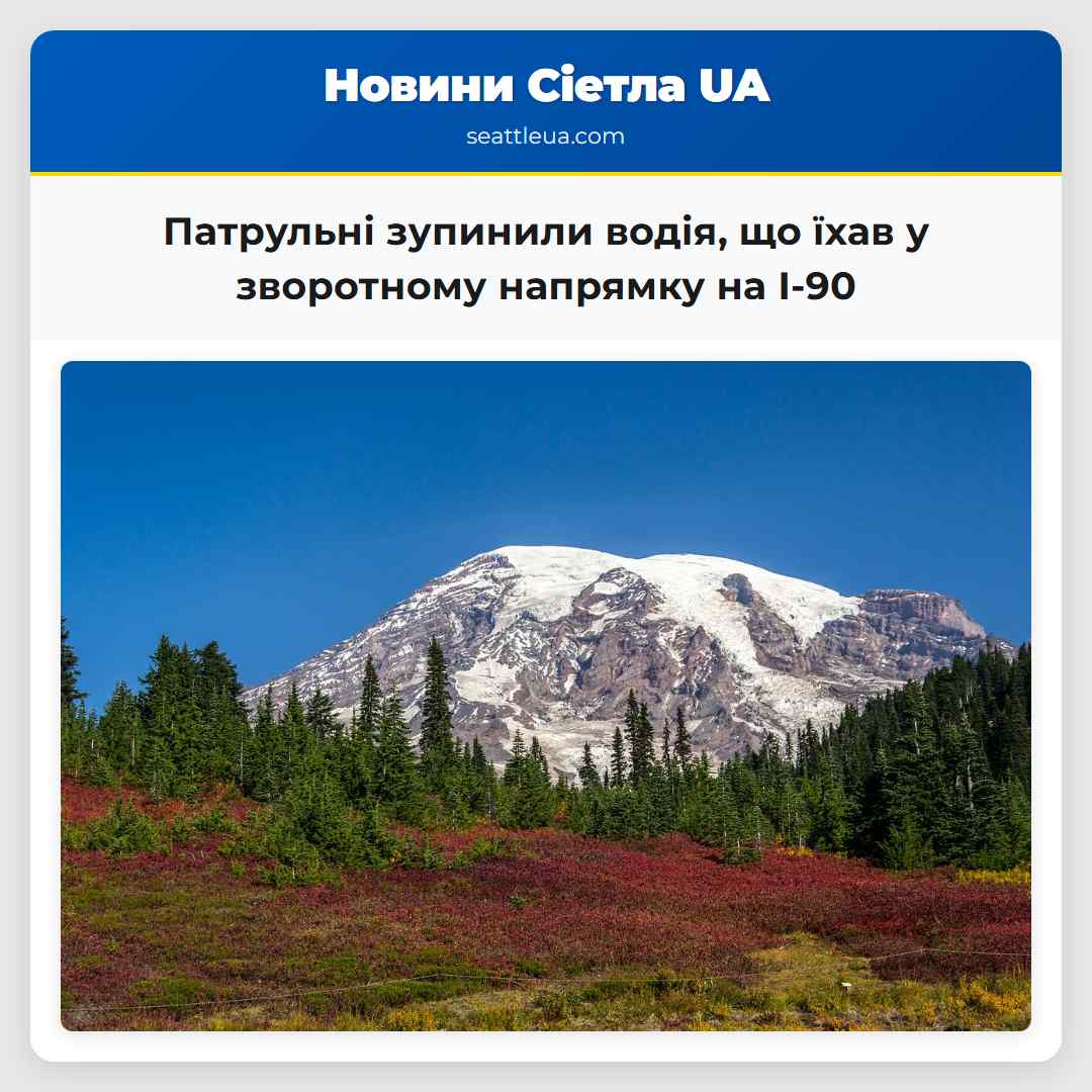 Патрульні зупинили водія, що їхав у зворотному
