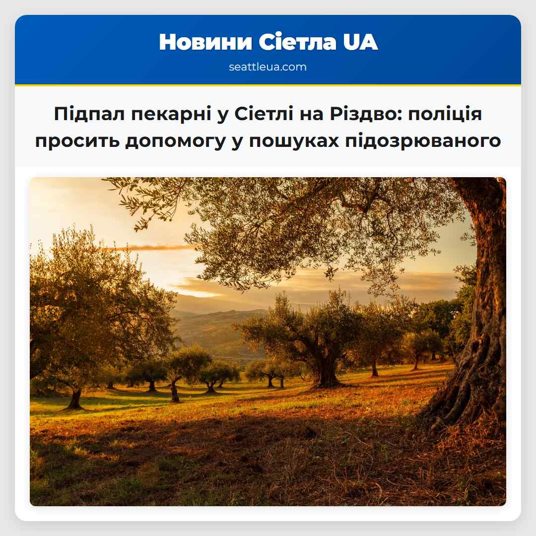 Підпал пекарні у Сіетлі на Різдво: поліція