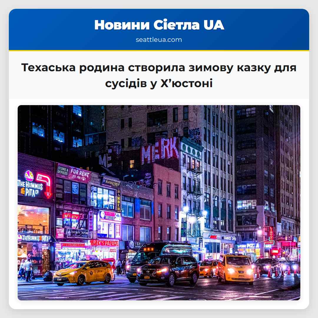 Техаська родина створила зимову казку для сусідів
