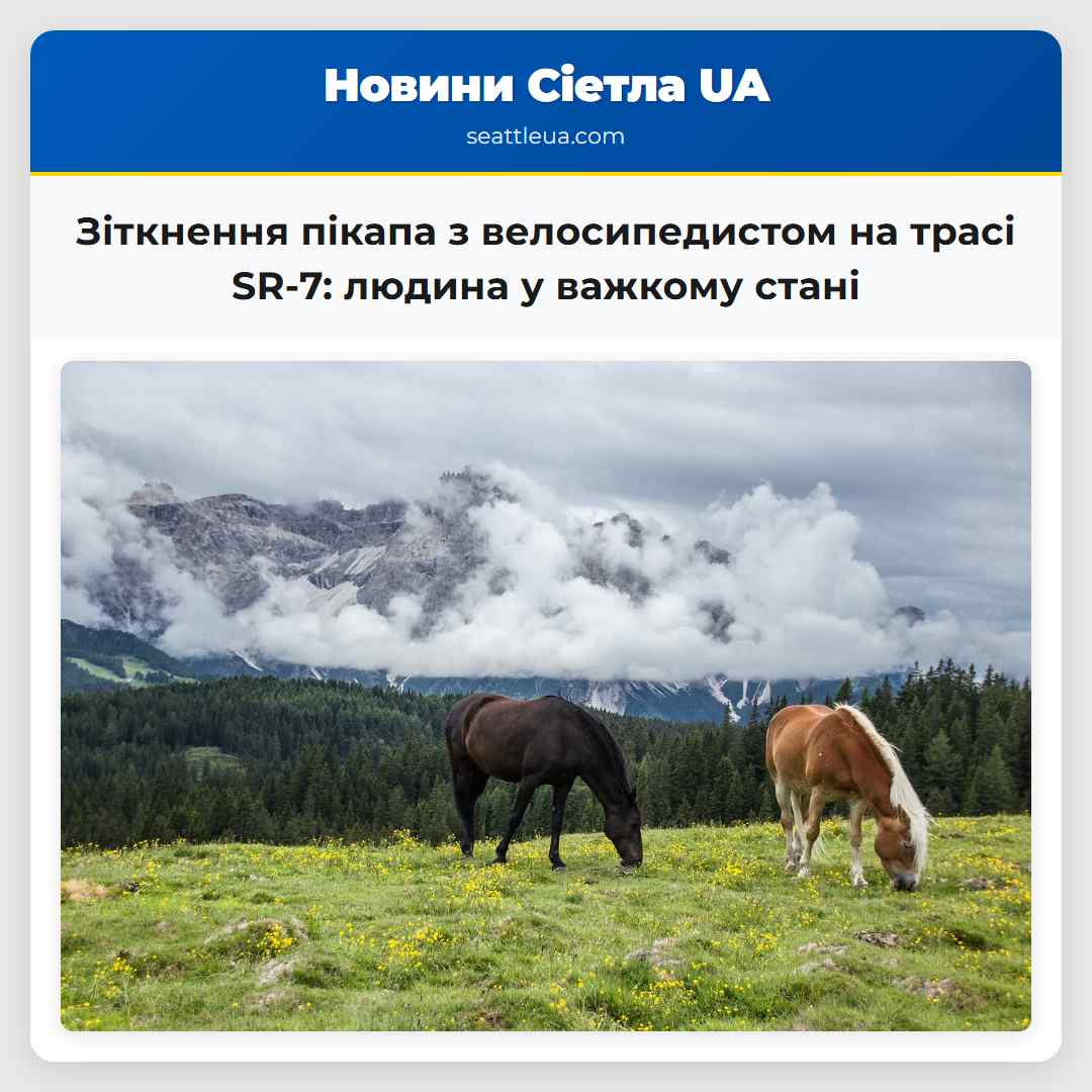 Зіткнення пікапа з велосипедистом на трасі SR-7: