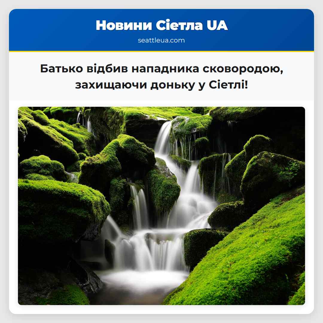 Батько відбив нападника сковородою, захищаючи