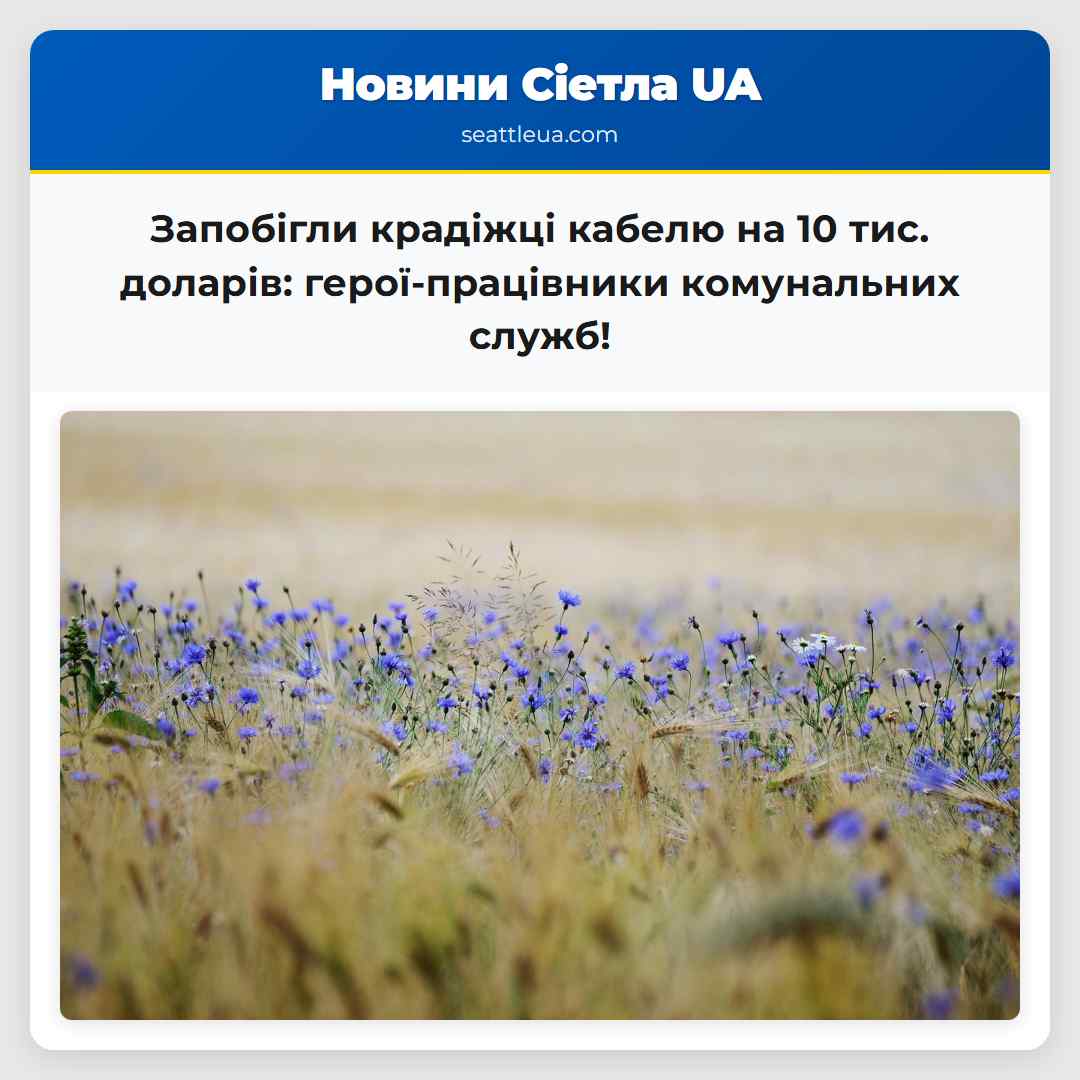 Запобігли крадіжці кабелю на 10 тис. доларів: