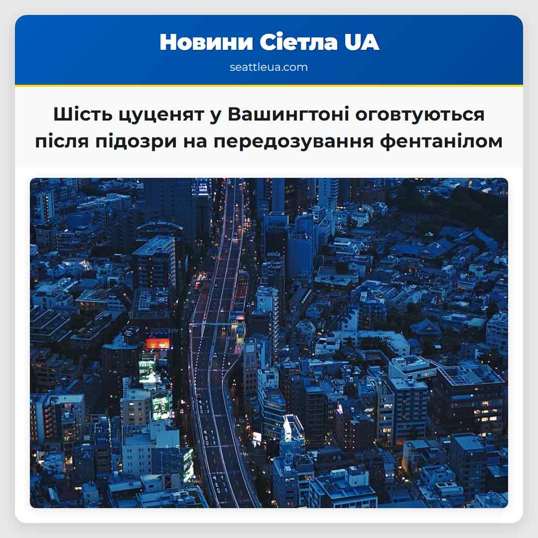 Шість цуценят у Вашингтоні оговтуються після