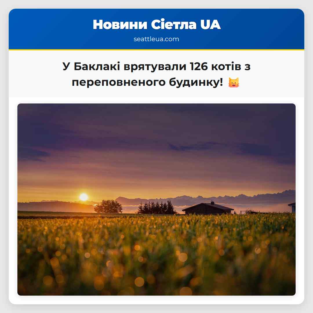 У Баклакі врятували 126 котів з переповненого