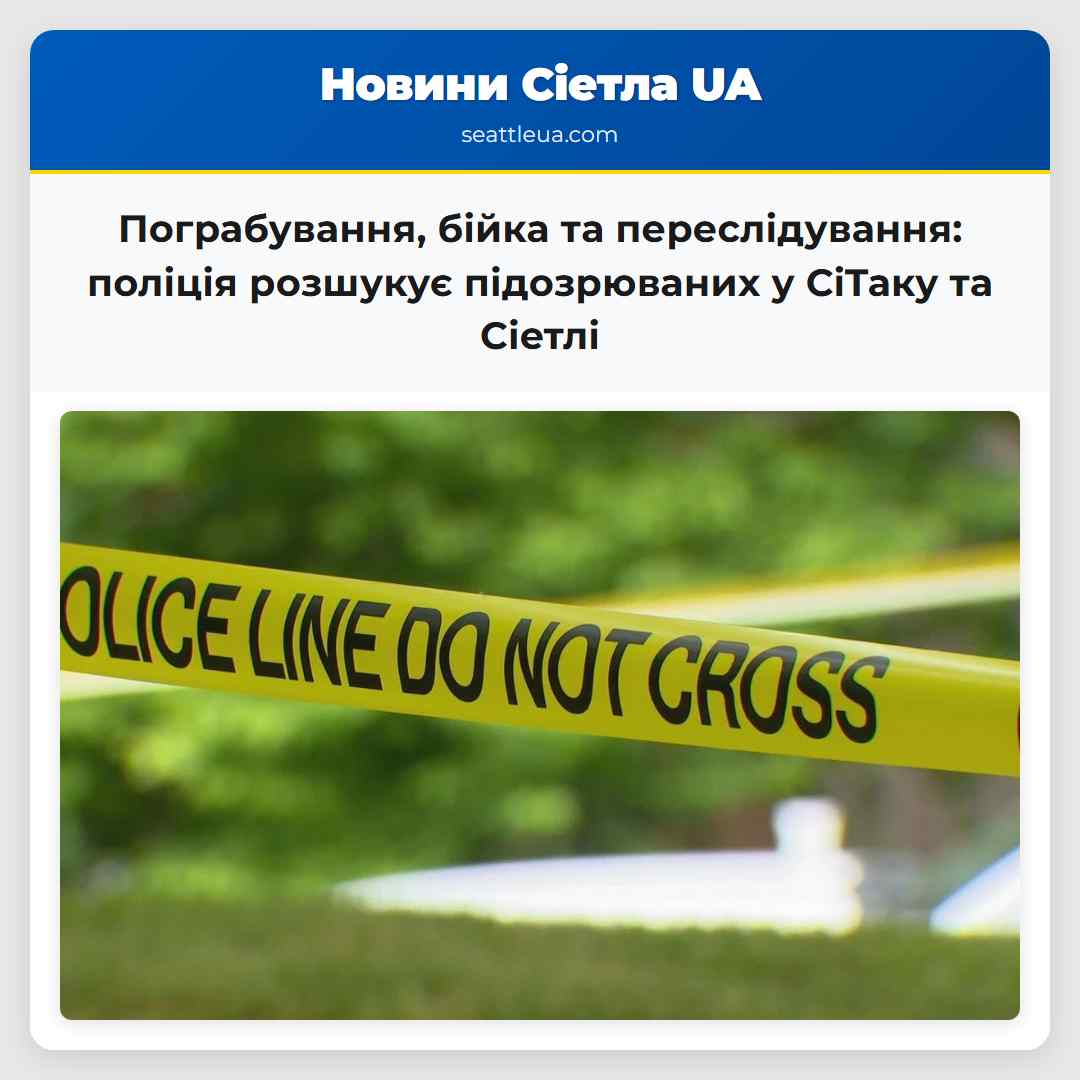 Пограбування, бійка та переслідування: поліція