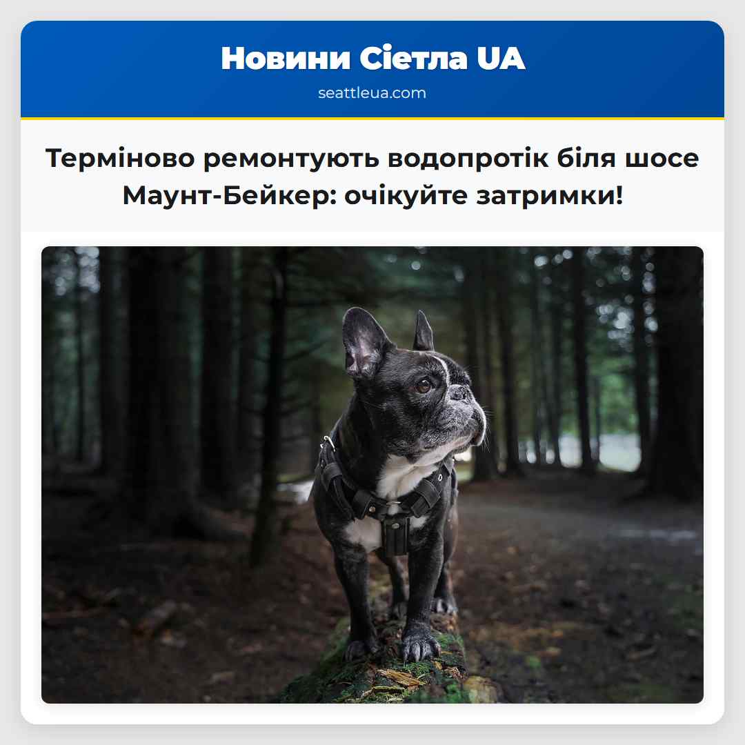 Терміново ремонтують водопротік біля шосе