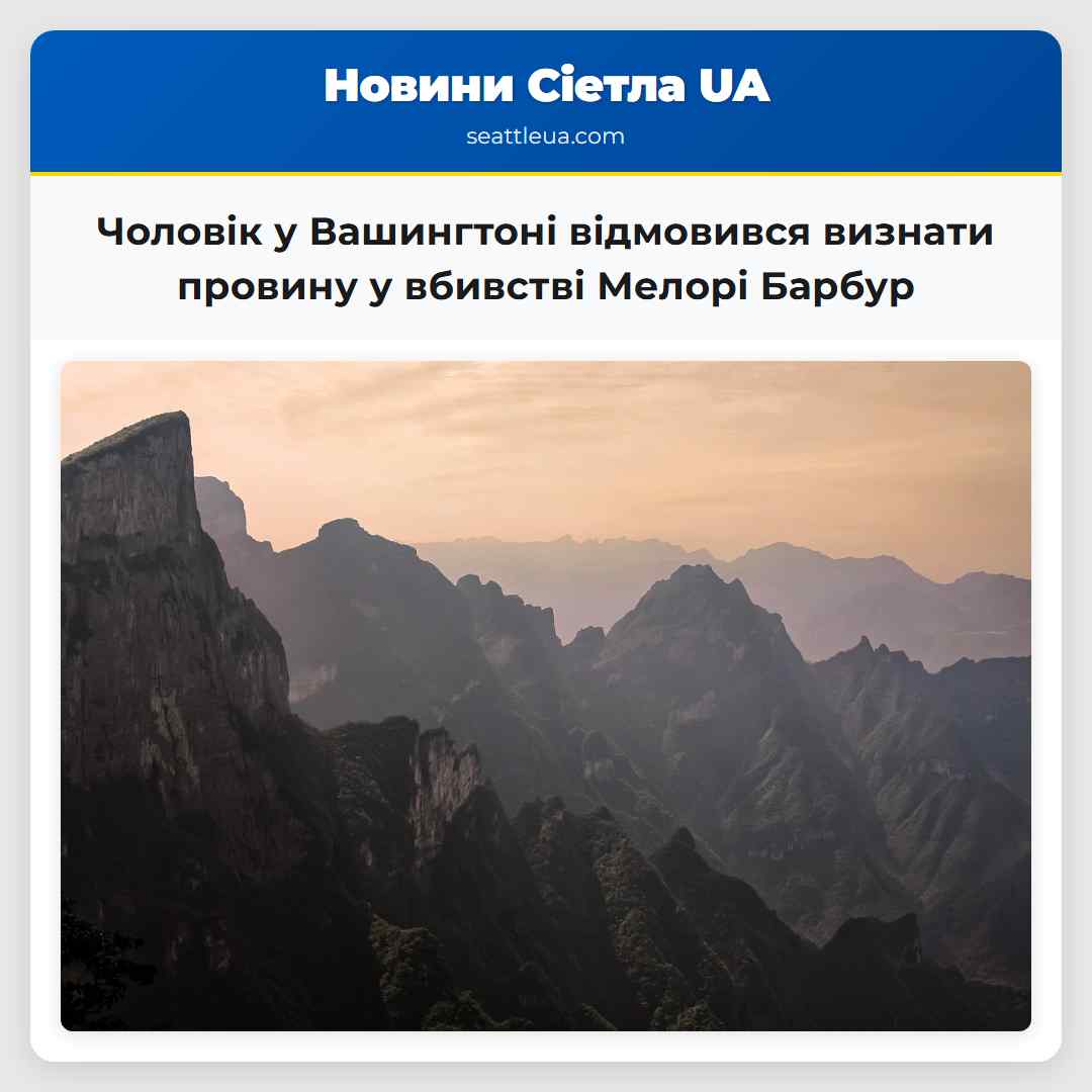 Чоловік у Вашингтоні відмовився визнати провину у