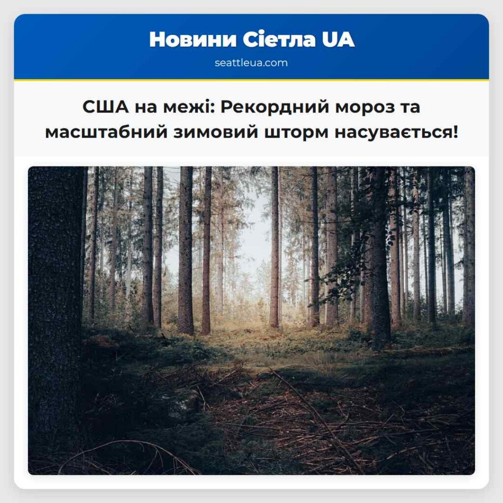 США на межі: Рекордний мороз та масштабний