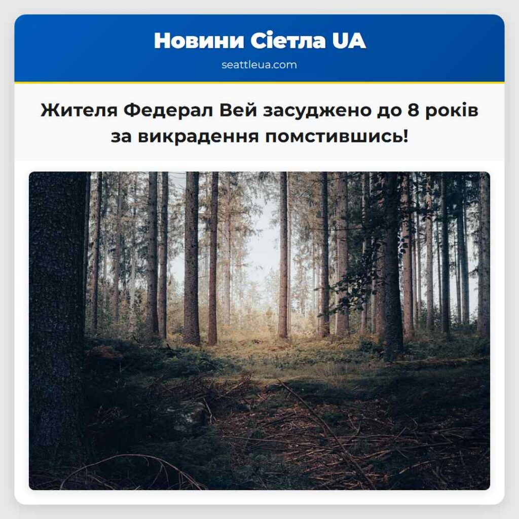 Жителя Федерал Вей засуджено до 8 років за