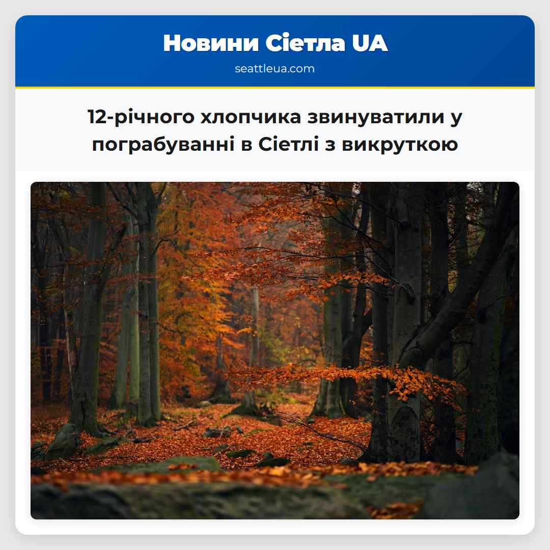 12-річного хлопчика звинуватили у пограбуванні в