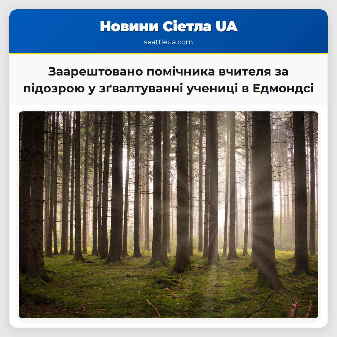 Заарештовано помічника вчителя за підозрою у