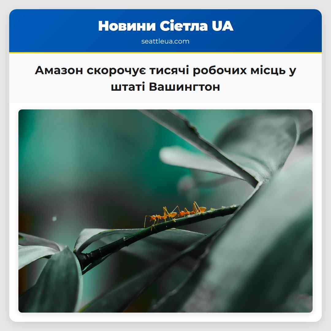 Амазон скорочує тисячі робочих місць у штаті