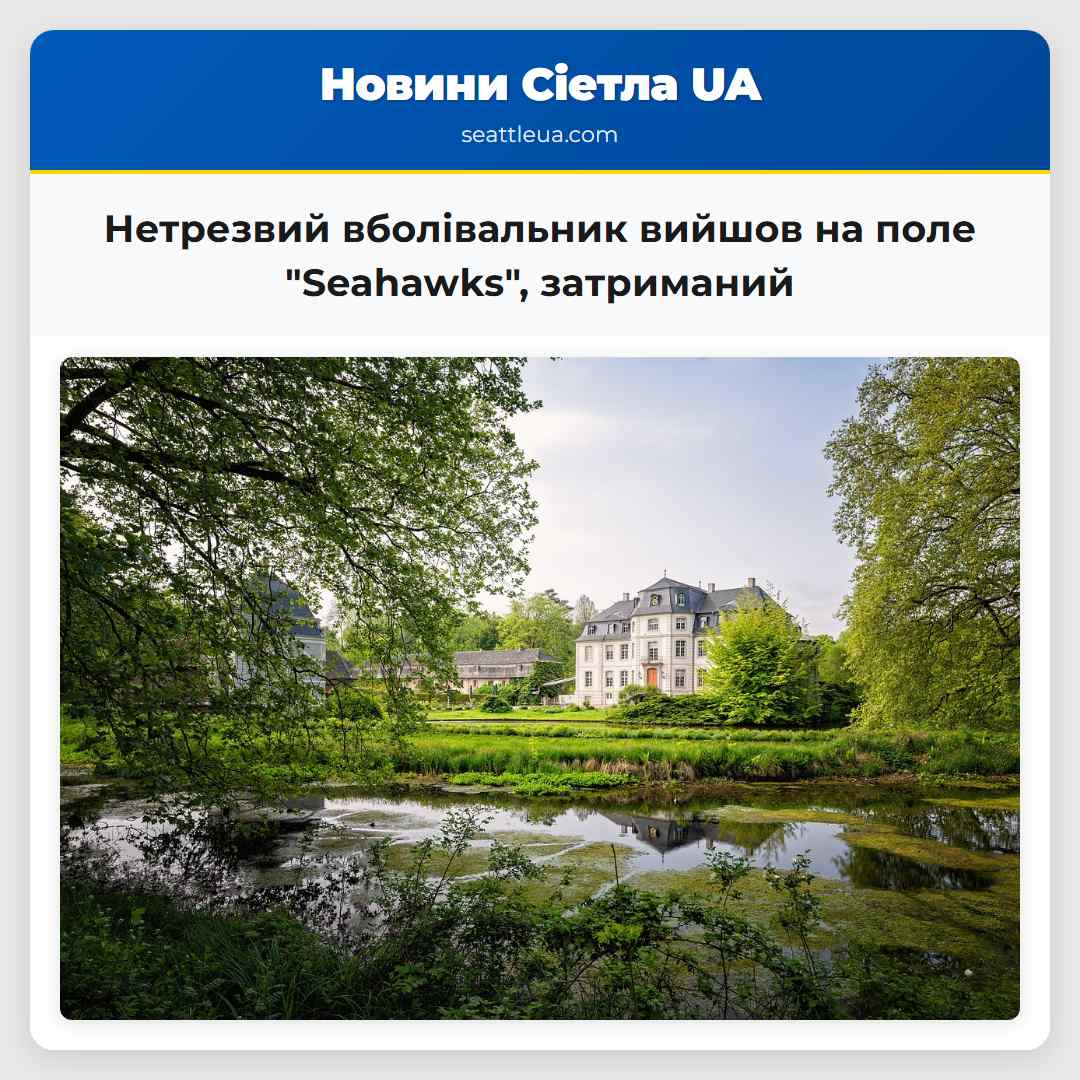 Нетрезвий вболівальник вийшов на поле "Seahawks",