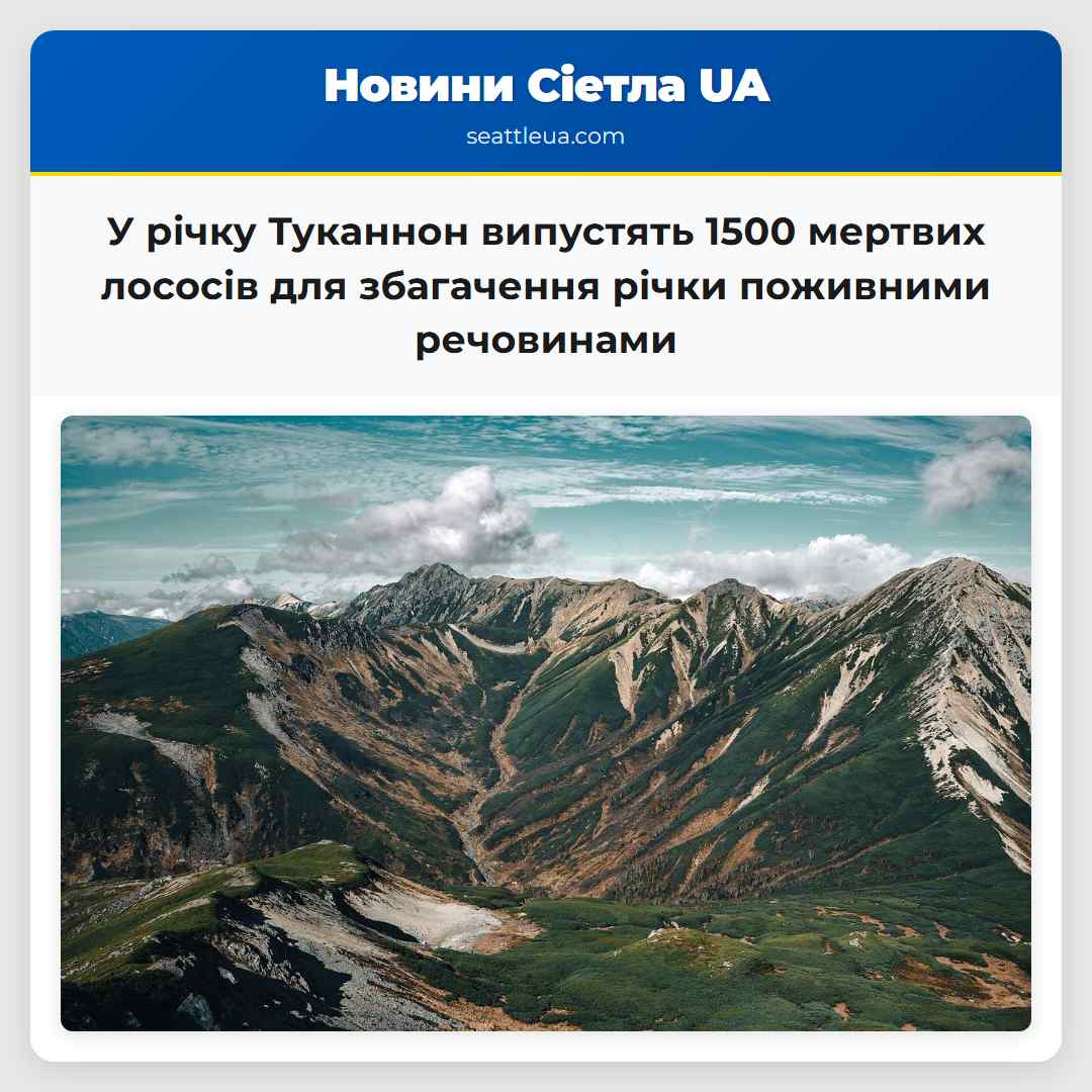 У річку Туканнон випустять 1500 мертвих лососів