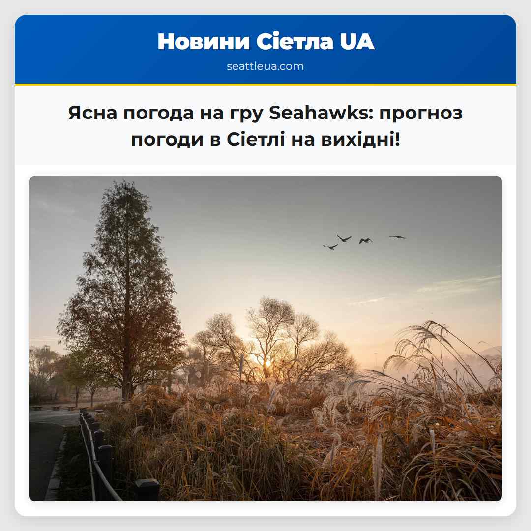 Ясна погода на гру Seahawks: прогноз погоди в