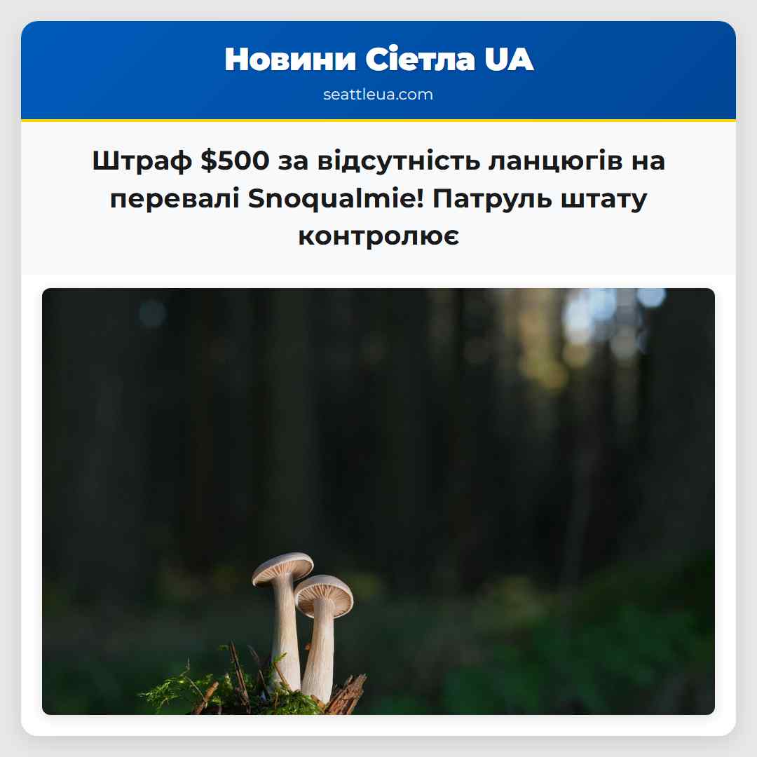 Штраф $500 за відсутність ланцюгів на перевалі