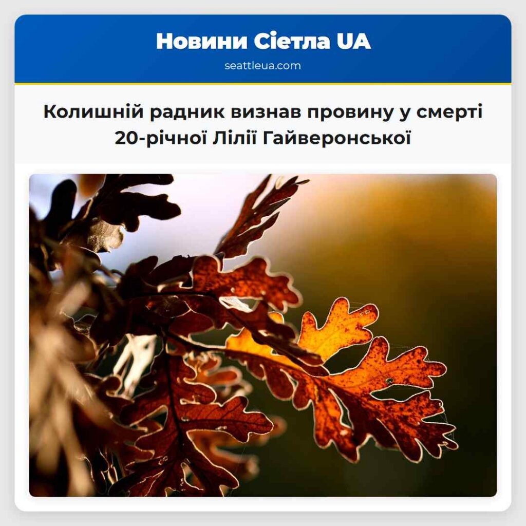 Колишній радник визнав провину у смерті 20-річної