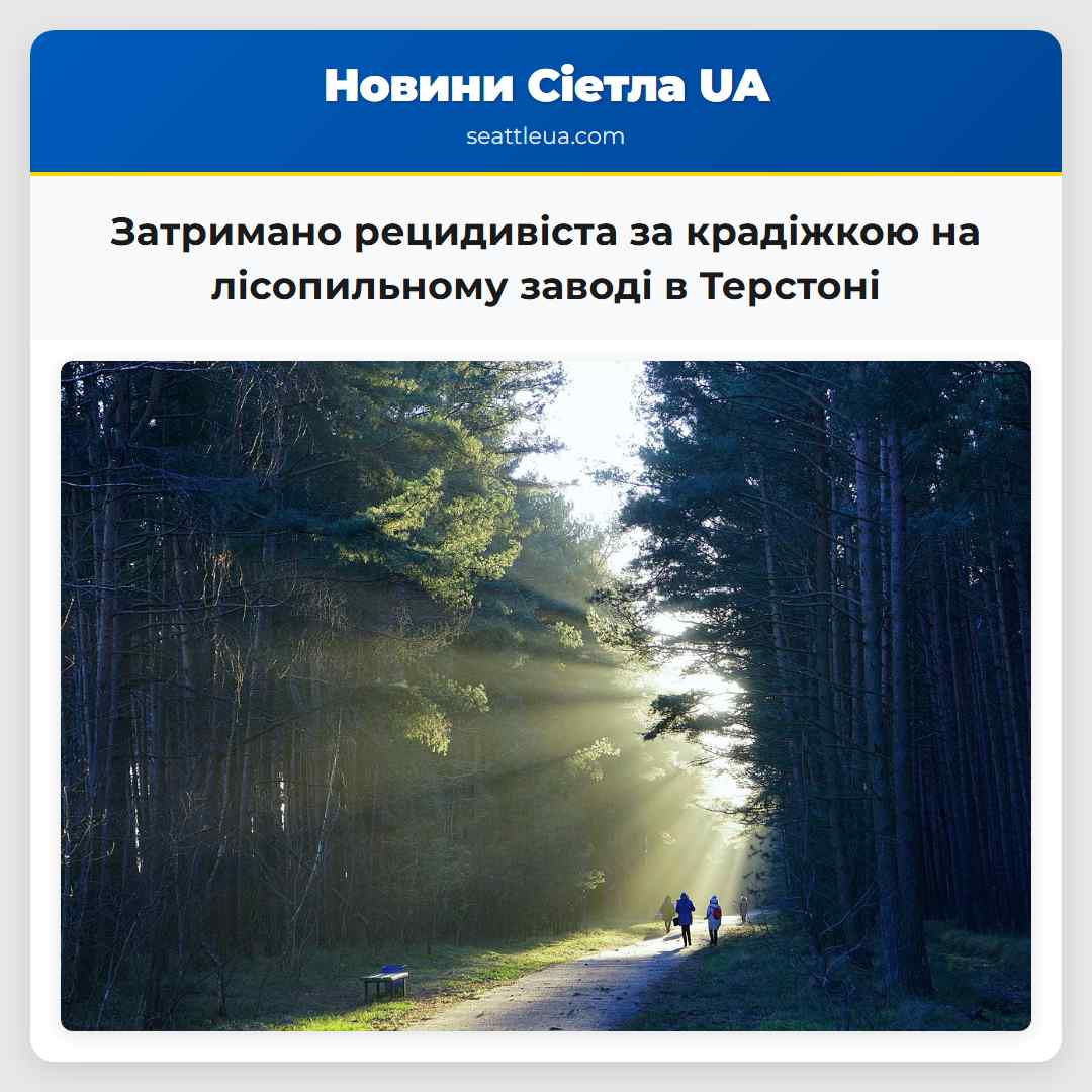 Затримано рецидивіста за крадіжкою на