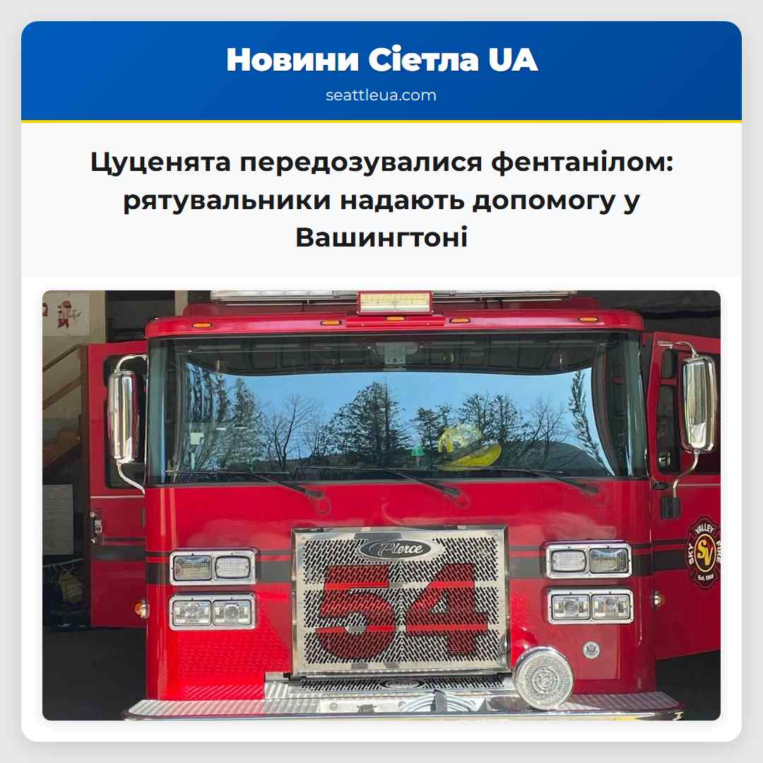 Цуценята передозувалися фентанілом: рятувальники