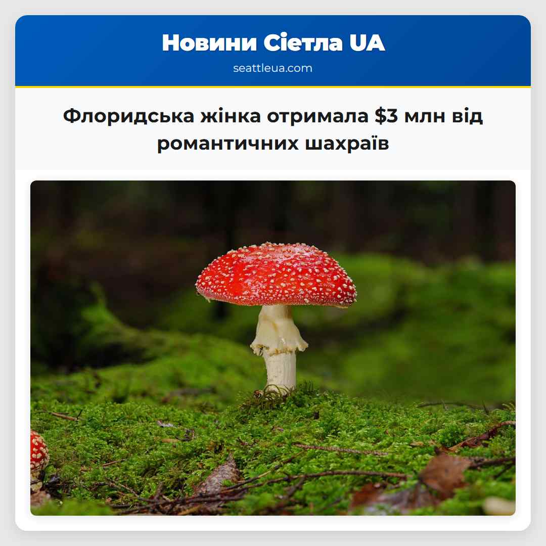 Флоридська жінка отримала $3 млн від романтичних