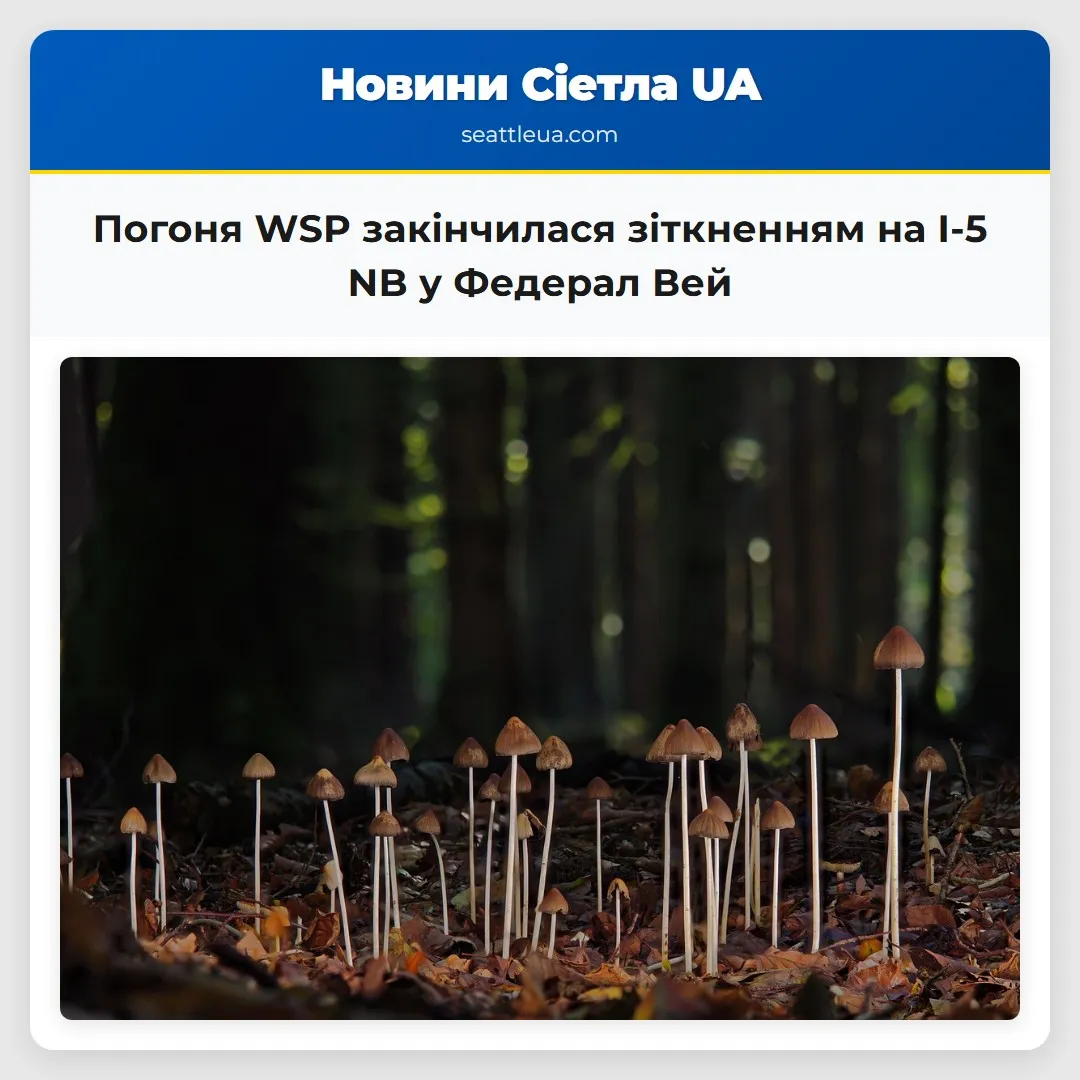 Погоня WSP закінчилася зіткненням на I-5 NB у