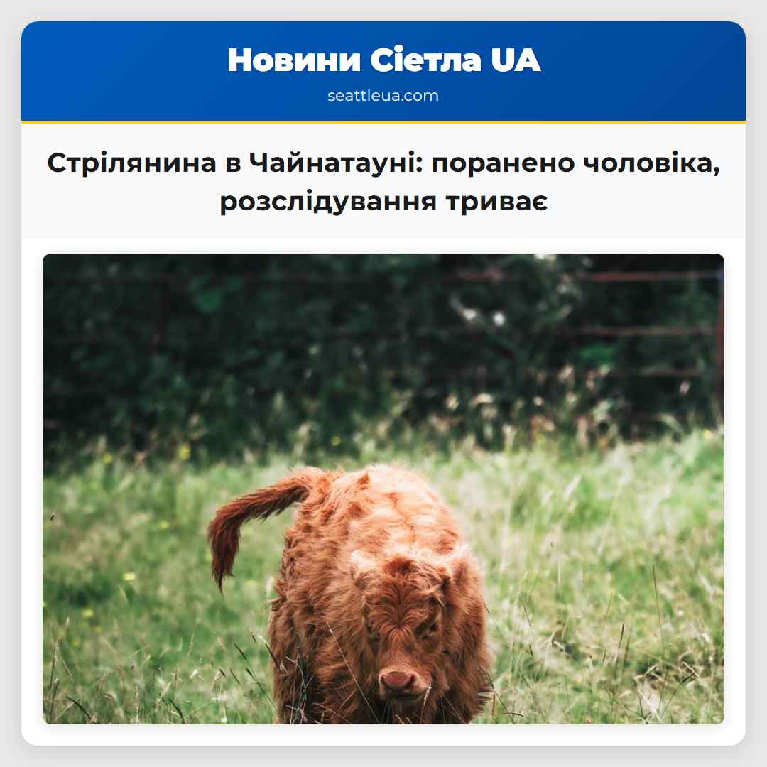 Стрілянина в Чайнатауні: поранено чоловіка,