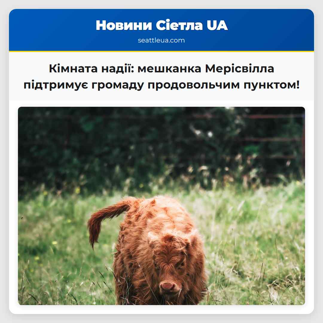 Кімната надії: мешканка Мерісвілла підтримує