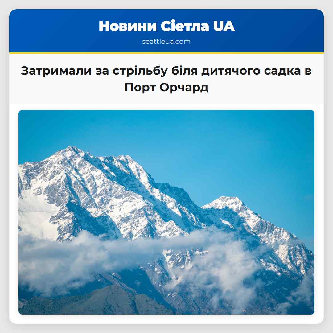 Затримали за стрільбу біля дитячого садка в Порт