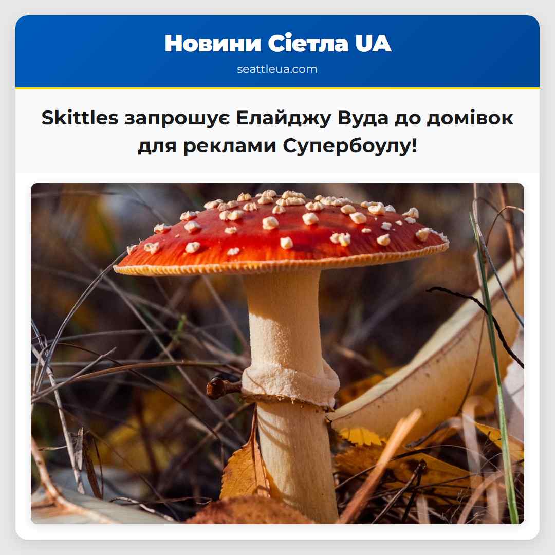 Skittles запрошує Елайджу Вуда до домівок для