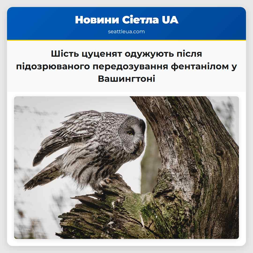 Шість цуценят одужують після підозрюваного