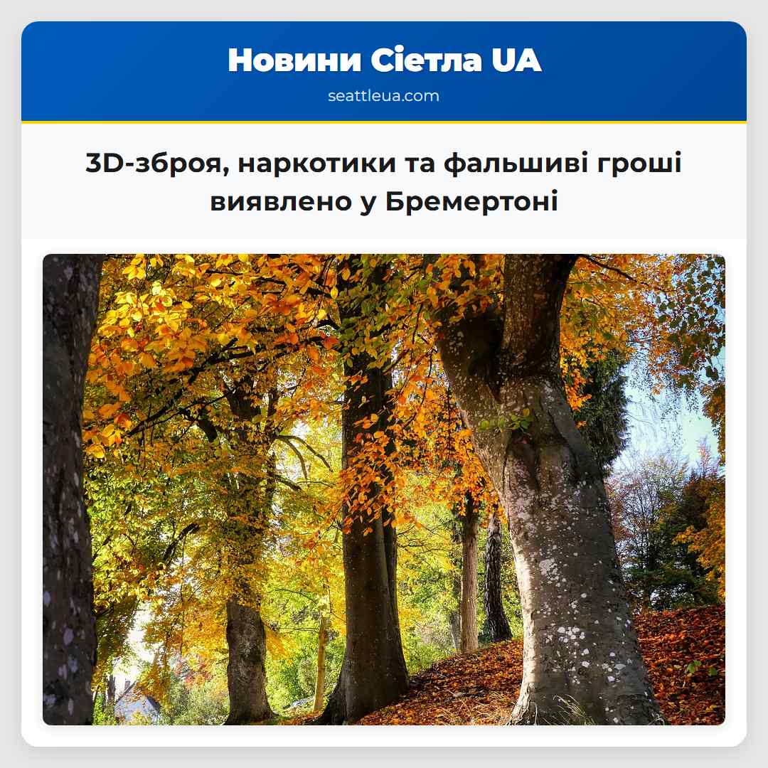 3D-зброя, наркотики та фальшиві гроші виявлено у