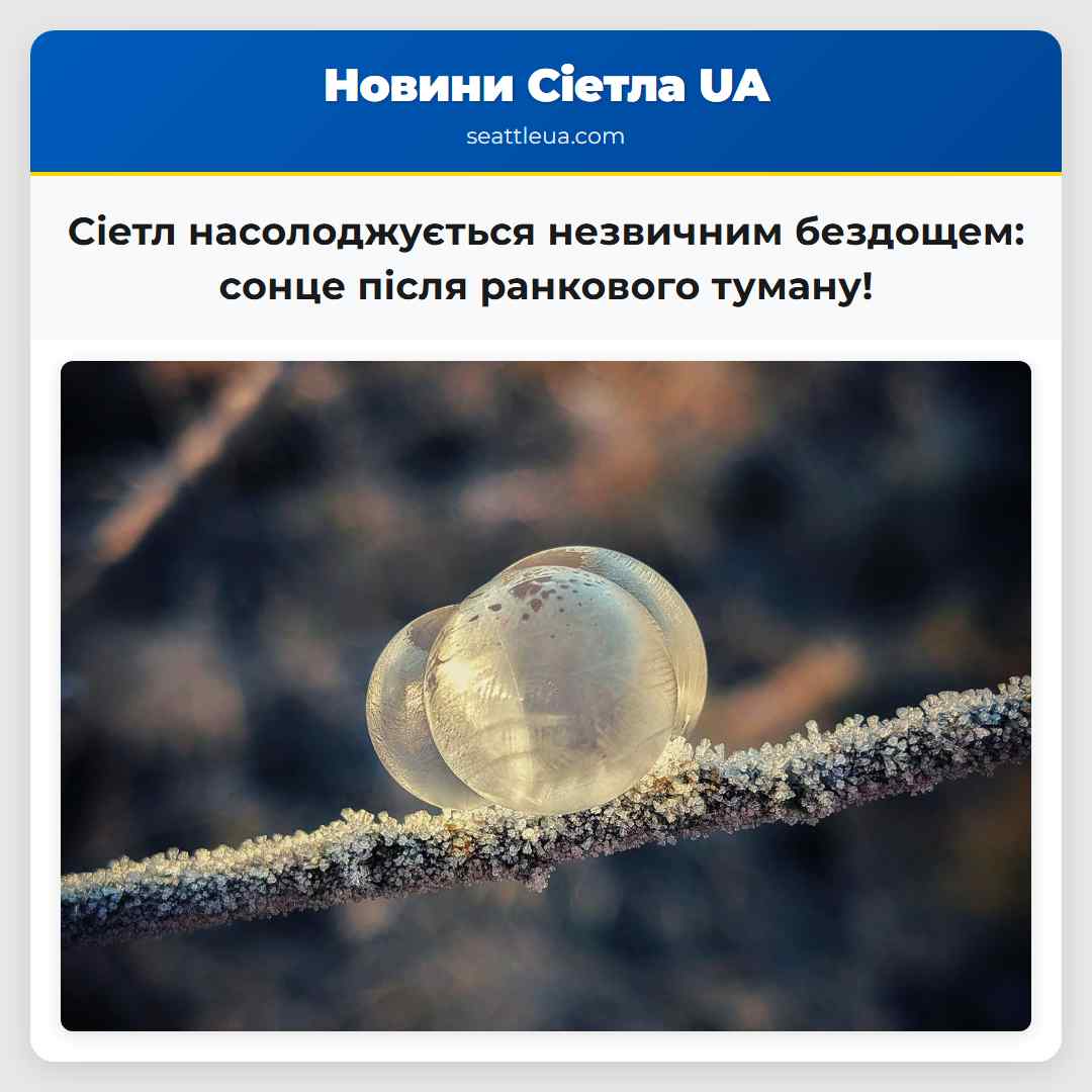 Сіетл насолоджується незвичним бездощем: сонце