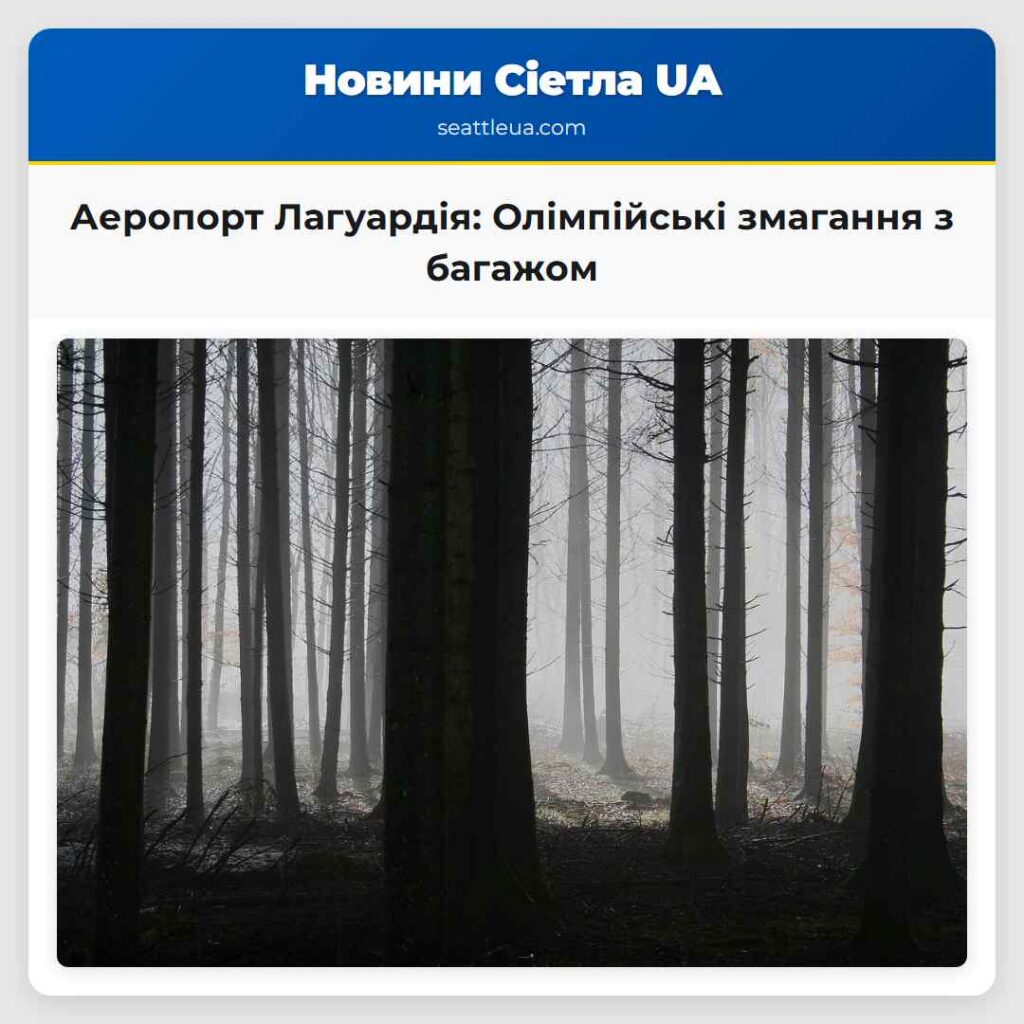 Аеропорт Лагуардія: Олімпійські змагання з багажом