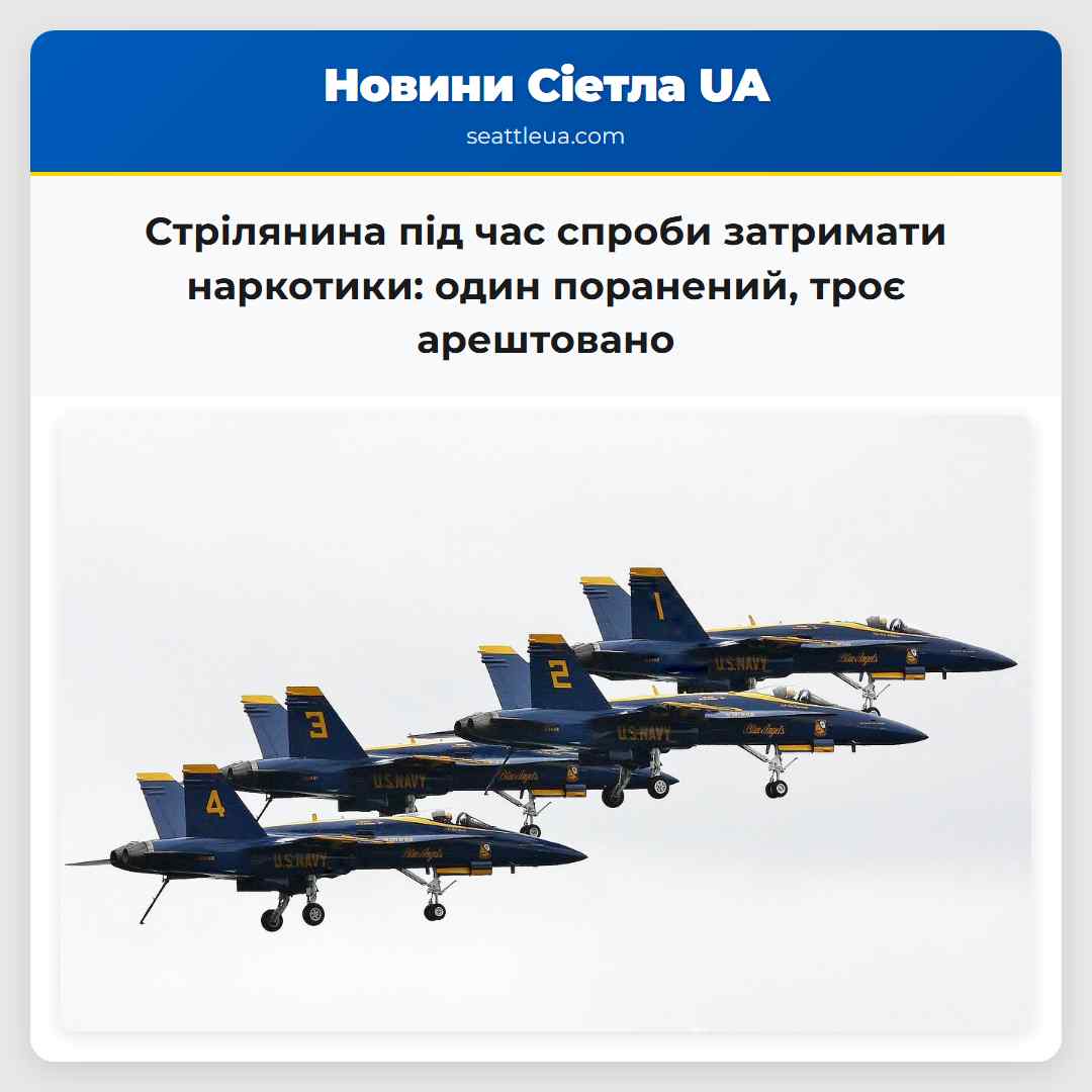 Стрілянина під час спроби затримати наркотики: